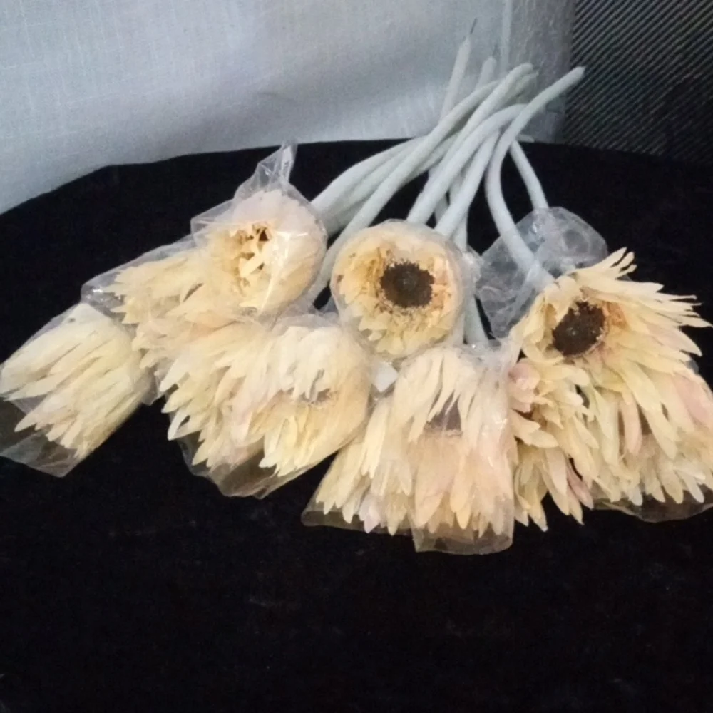 1 DOZ.Vibrant Cream & Pink Gerber Daisy Faux Floral Accents